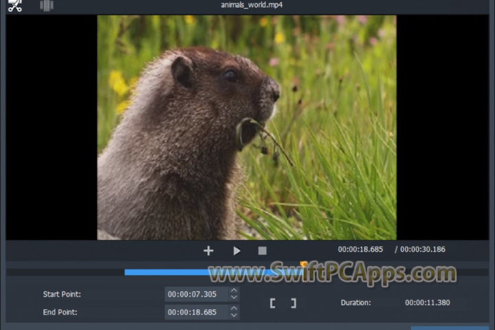 DVD Video Media Audio Video Cutter Joiner Suite v2025.5 full version